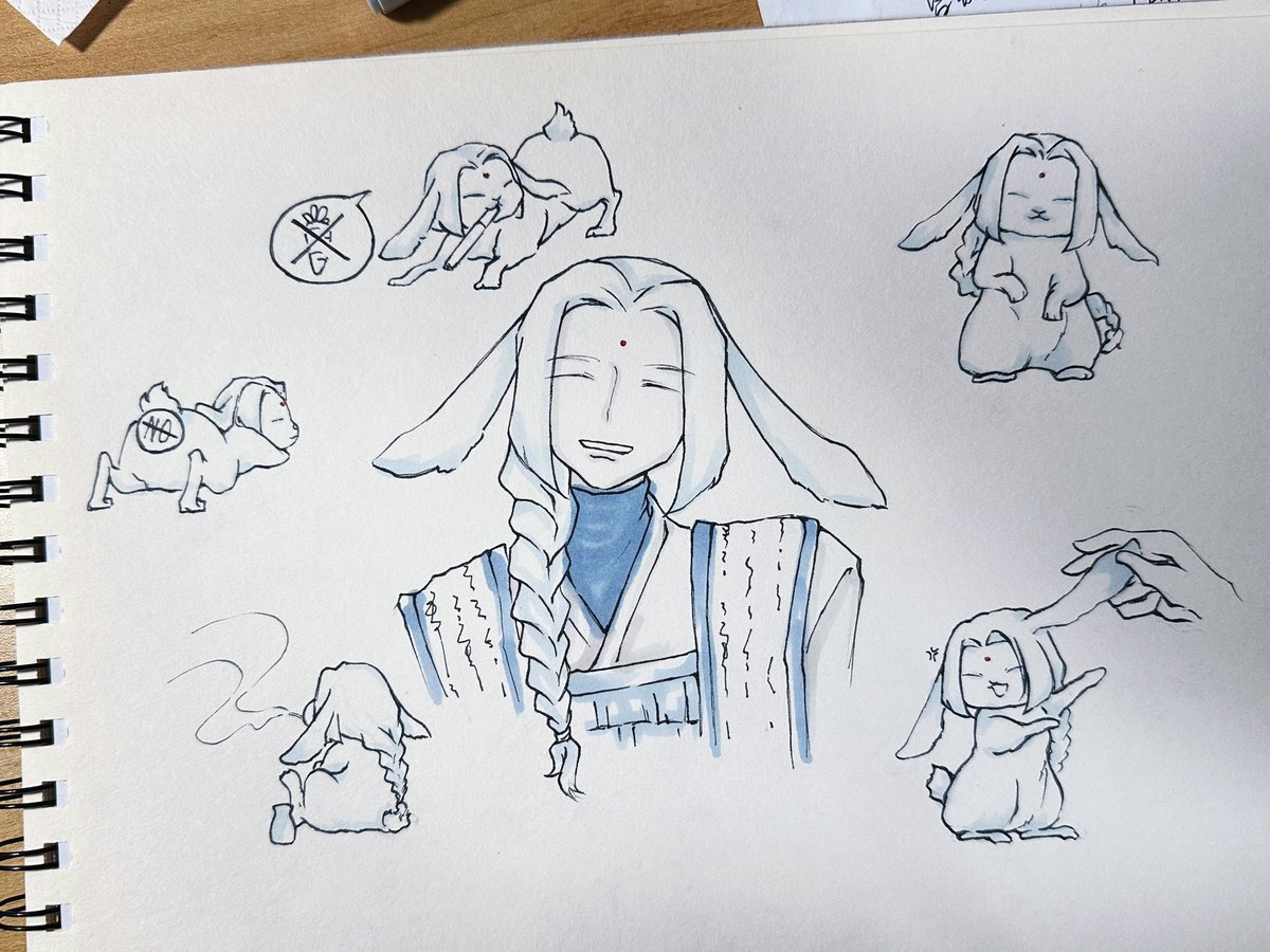 感覺非常適合垂耳兔