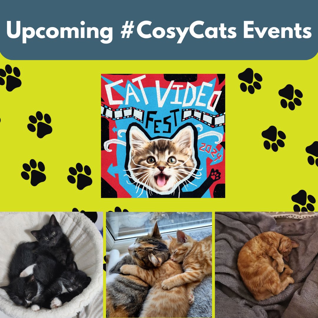 Sheffield Cats Shelter (@catsshelter) on Twitter photo Another screening of <a href="/CatVideoFest/">ᑕᗩT ᐯiᗪE0 ᖴEᏕT 😺</a> will be at the Odeon, (5.50pm on February 17th) to celebrate National Cat Day–10% of the ticket proceeds will support our cats🎞️
If you can't attend, please donate to our #cosycats campaign here: thesheffieldcatsshelter.enthuse.com/donateonce#!/ Another screening of <a href="/CatVideoFest/">ᑕᗩT ᐯiᗪE0 ᖴEᏕT 😺</a> will be at the Odeon, (5.50pm on February 17th) to celebrate National Cat Day–10% of the ticket proceeds will support our cats🎞️
If you can't attend, please donate to our #cosycats campaign here: thesheffieldcatsshelter.enthuse.com/donateonce#!/
