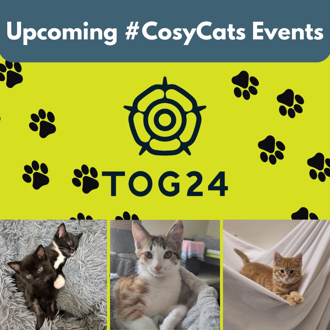 Sheffield Cats Shelter (@catsshelter) on Twitter photo Support us @Tog24 store at East Midlands designer outlet on February 16th (10.30 to 3.30pm), where we will be collecting donations for our stores and selling cat toys and accessories🧥
If you can't attend, please donate to our #cosycats campaign here: thesheffieldcatsshelter.enthuse.com/donateonce#!/ Support us @Tog24 store at East Midlands designer outlet on February 16th (10.30 to 3.30pm), where we will be collecting donations for our stores and selling cat toys and accessories🧥
If you can't attend, please donate to our #cosycats campaign here: thesheffieldcatsshelter.enthuse.com/donateonce#!/