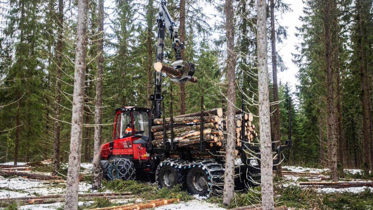 Puun hinta viikolla 5: Puukauppoja solmitaan aiempaa kovempaan tahtiin maaseuduntulevaisuus.fi/metsa/29eff312…