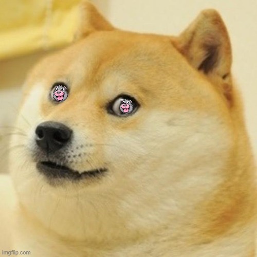 Keep an eye on $DOGDENG 😉🚀🚀