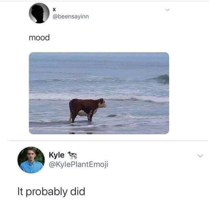 RespectfulMemes's tweet photo. https://t.co/zm58ITxhWT
