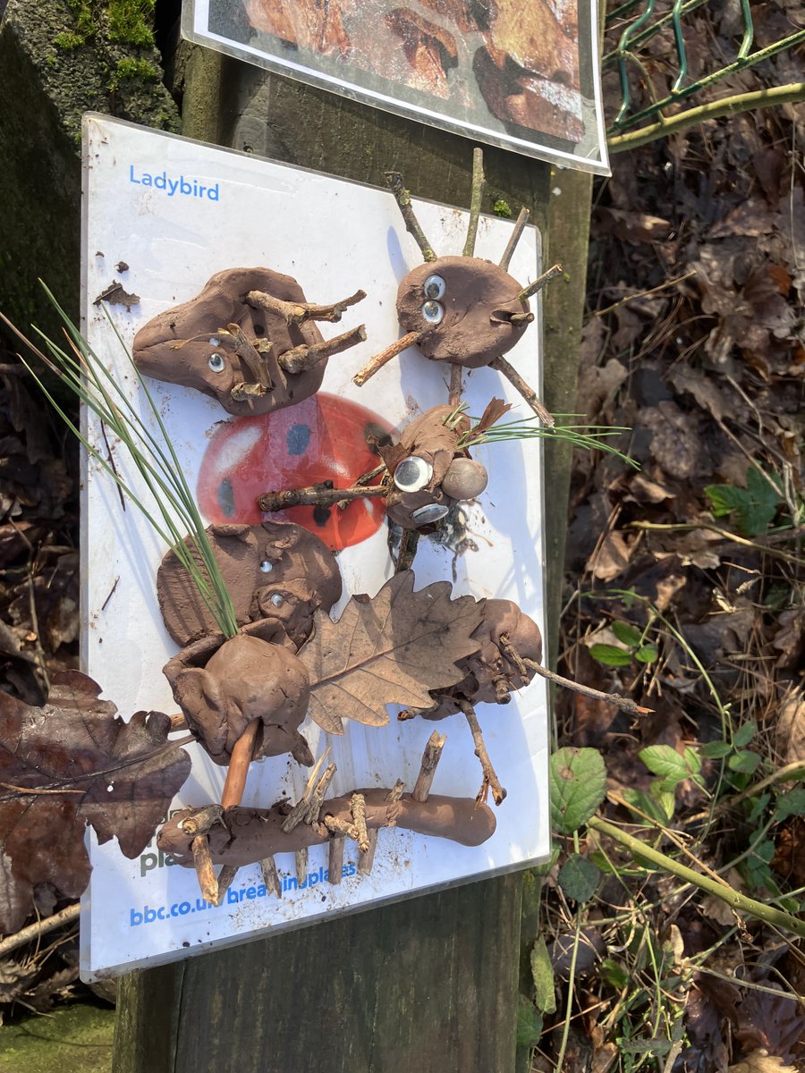 RoslistonEnvEd's tweet image. Look at the fabulous clay creatures the Saplings Nature Tots made last week....
Come along every Wednesday to Rosliston Forestry Centre in term time with your preschoolers & join in fun outdoor activities in our woods & sheltered area
More info: rosliston@southderbyshire.gov.uk