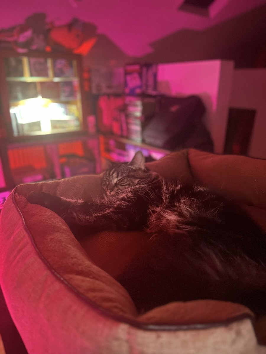 LunarLizzy 🦋 tweet media