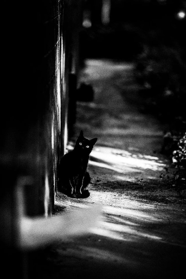 Kötülüğün bir merkezi var,
İyilik darmadağın.💧💧