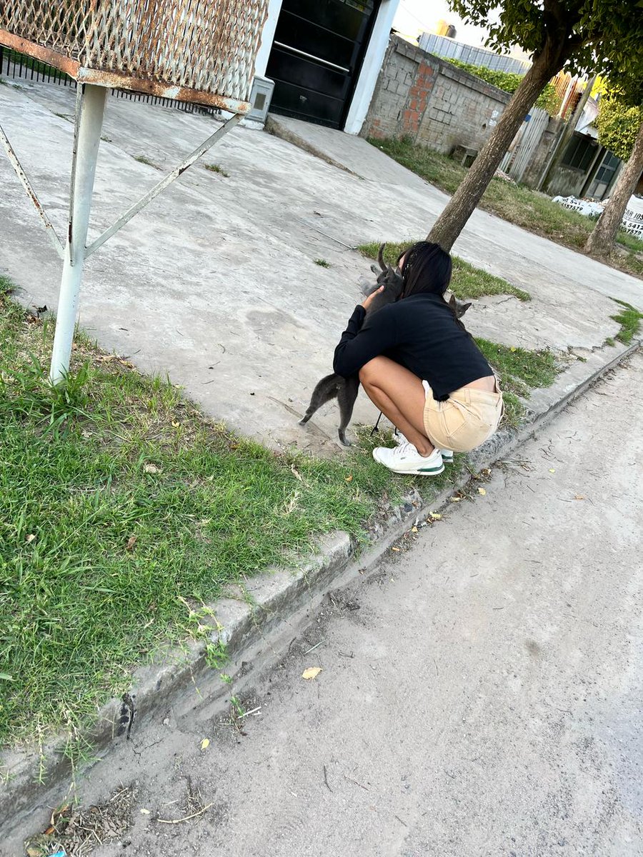 chinnittoo0's tweet photo. La amo a la loca d los gatos🥰🥰😍 https://t.co/8H7WIFytaL