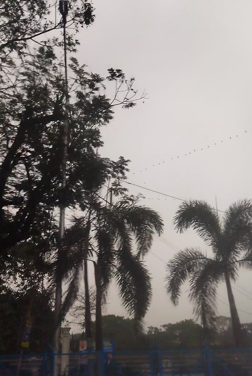arpana_dhar's tweet image. आज एक दोस्त बोली मुझे ,सेल्फ रिस्पेक्ट भी कुछ होती है क्या 
 जिंदगी के समझौते ने  ये समझने ही नहीं दिया कभी
आंख और मन दोनों भर आया 🥹।
#LifeLessons
#GoodNightToAll