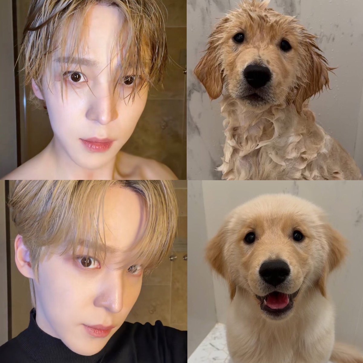 虎 (slow) tweet media