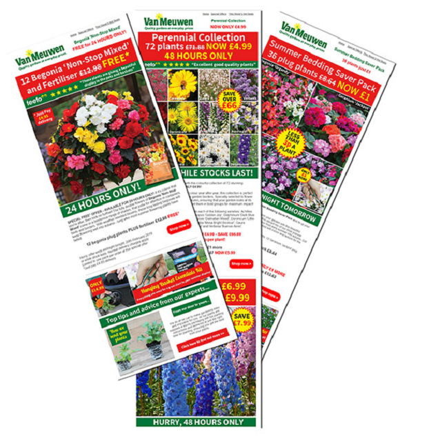 VanMeuwen's tweet photo. Join our newsletter🌻

Join today &amp; get 10% off plants, bulbs &amp; seeds when you sign up for the first time! 

Keep up to date with the latest new products, get gardening tips &amp; access to regular special offers.

So don't miss out - sign up today 👉 https://t.co/kuettaP7Sy https://t.co/2NxRORAgaA