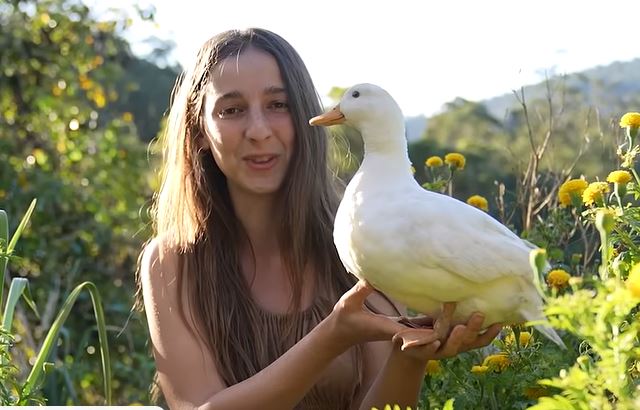 markdishman's tweet image. Obsessed with the Better Help ad woman claiming her problem is isolation having moved to a remote location, not the fact that her husband has turned into a duck.