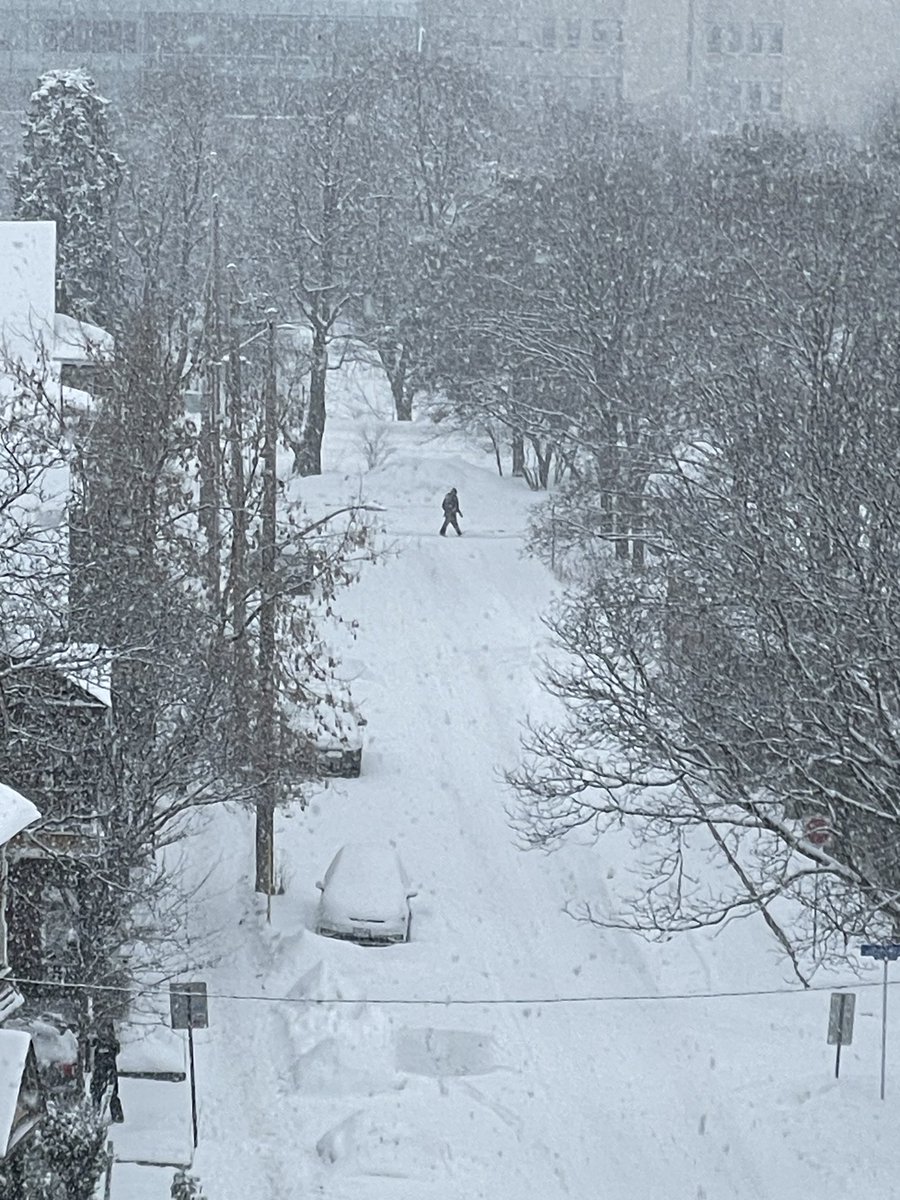 JunkHeap (@junkheapband) on Twitter photo We’re having a winter wonderland moment here!  😆 We’re having a winter wonderland moment here!  😆