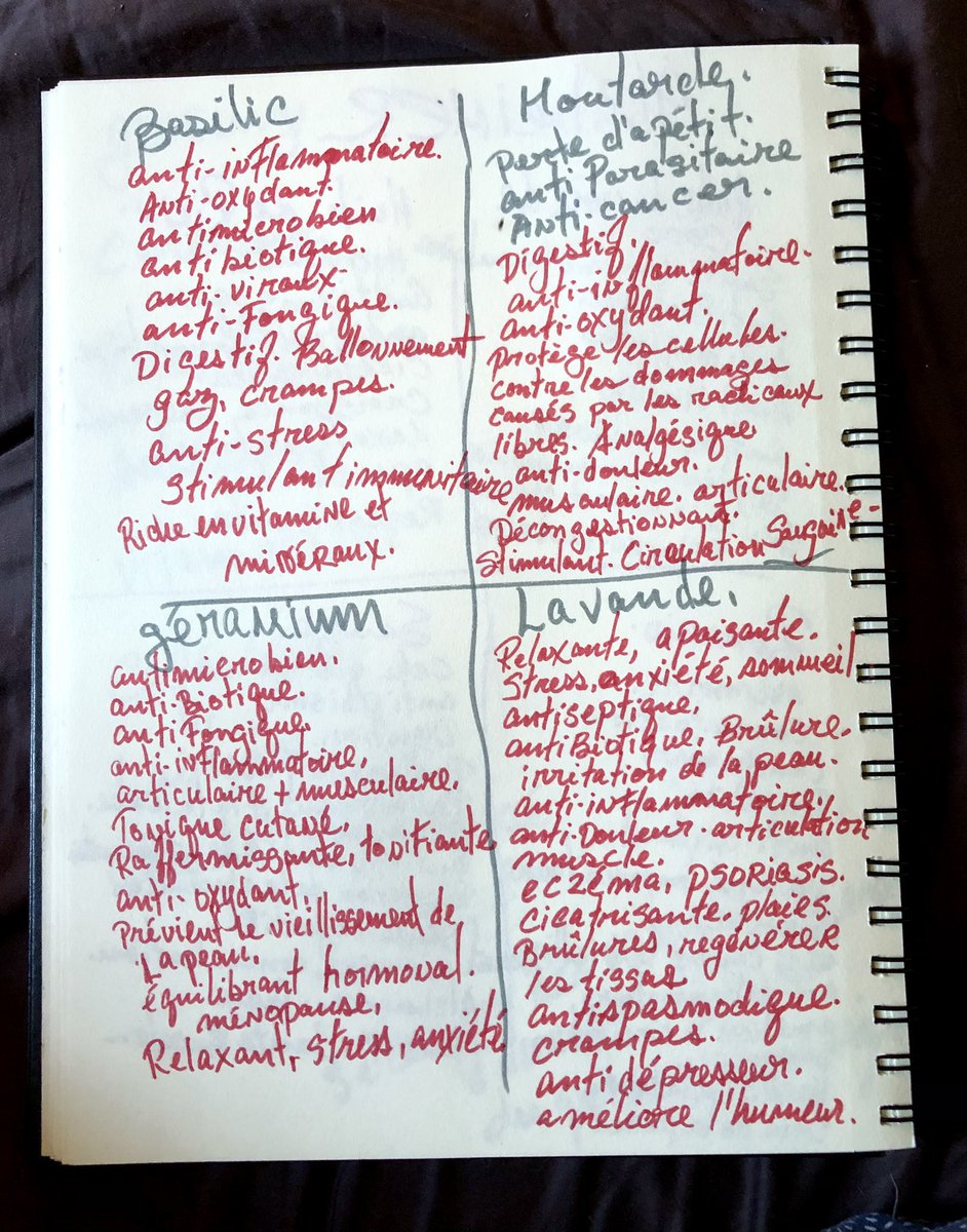 pres_reine's tweet image. Des plantes médicinales à connaître ! 🌿🍀🌺🪴 Basilic, moutarde, géranium, lavande. Antifongiques, antidouleurs, anti-inflammatoires, antiseptiques, antioxydants, antibiotiques, antiviraux et plus. #RemèdeSimple #Remède #Prévention. Stress, anxiété, calmantes, cicatrisantes.