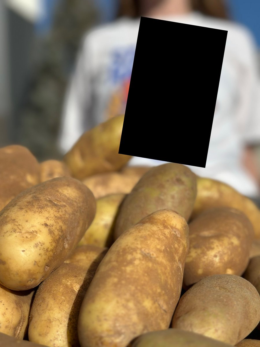 𝚂𝚝𝚊𝚛𝚌𝚑 𝚒𝚜 𝙱𝙰𝙽𝙽𝙴𝙳

𝚞𝚗𝚝𝚒𝚕 𝚠𝚎𝚍𝚗𝚎𝚜𝚍𝚊𝚢