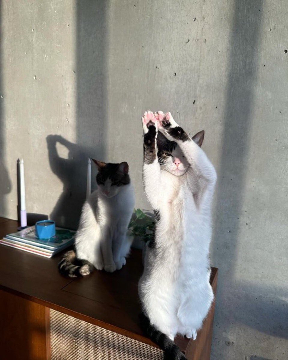 Alara (@bisakinalara) on Twitter photo 