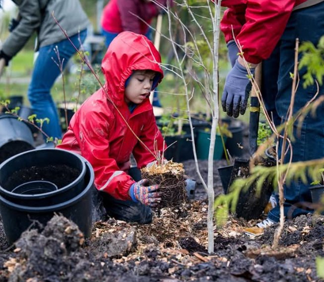 Island Coastal Economic Trust (@icet_bc) on Twitter photo 🌳 Dig into the world of Mini Forests and learn how to create lush urban green spaces. Discover the global impact that mini forests have on biodiversity, air quality, and community well-being.🌿🌎
Sign up for free training through <a href="/grncommunities/">Green Communities Canada</a> heyor.ca/QVh4L4 🌳 Dig into the world of Mini Forests and learn how to create lush urban green spaces. Discover the global impact that mini forests have on biodiversity, air quality, and community well-being.🌿🌎
Sign up for free training through <a href="/grncommunities/">Green Communities Canada</a> heyor.ca/QVh4L4
