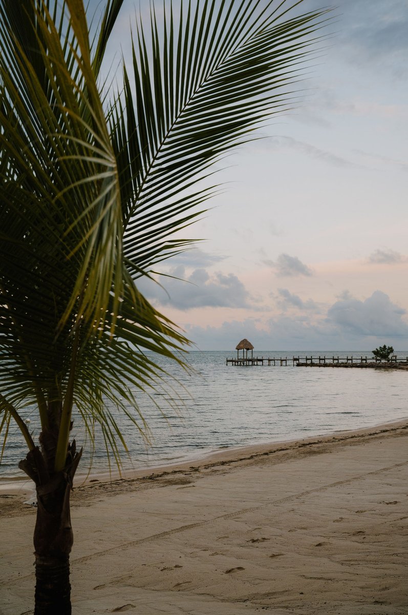 Crypto Cities Theme Week has begun! Roatán is the ultimate tropical playground for builders—paradise meets innovation. 🌴☀️

Missed this one? Human Enhancement Week is up next (Feb 24 - Mar 2).

 ➡️ infinita.city/human-enhancem…