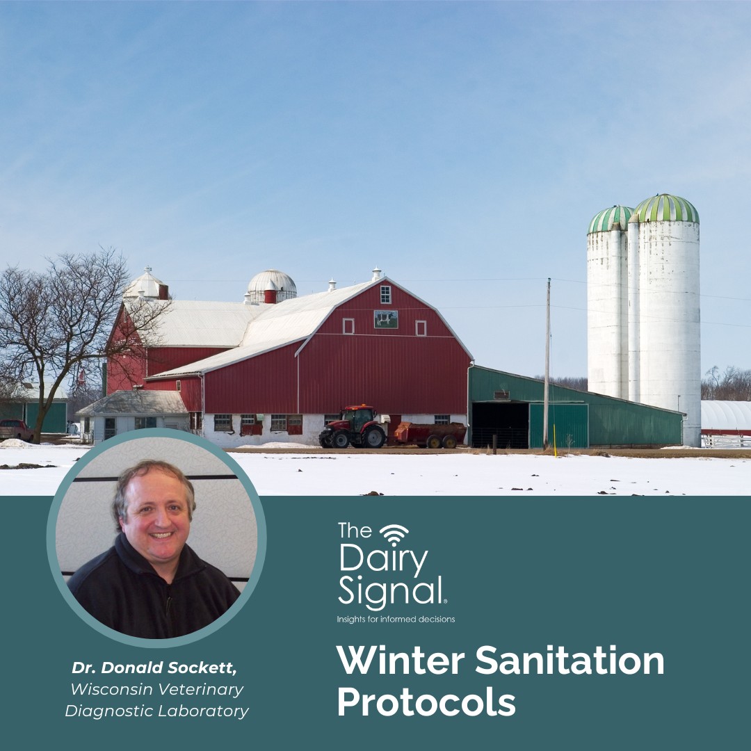 Cold temps pose challenges for farm sanitation. Discover best practices for cleaning calf housing and equipment during freezing conditions on The Dairy Signal with Dr. Donald Sockett. Access the episode here: mediasiteconnect.com/site/pdpw-dair…