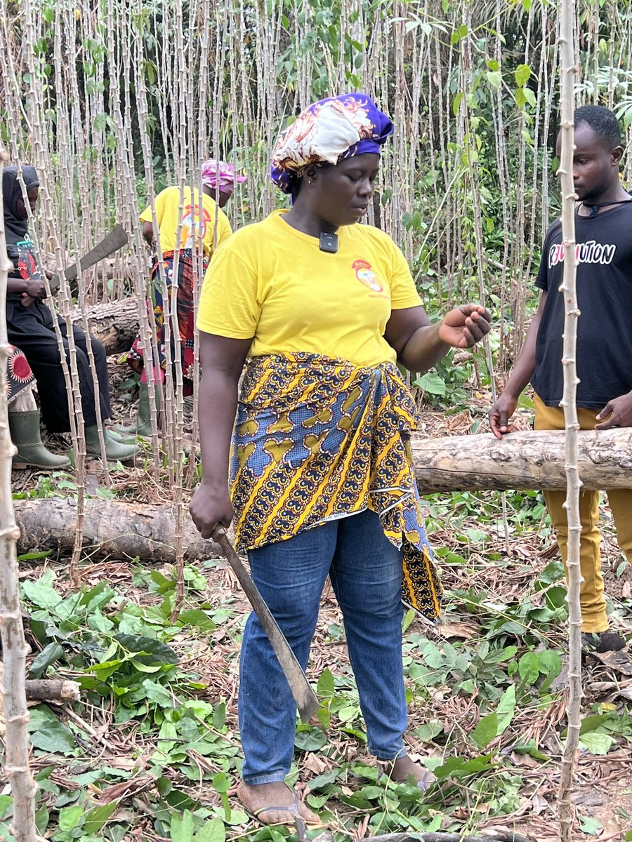 CoollBenito's tweet photo. j’ai posé ma caméra 🎥 au cœur du travail des femmes rurales pour un documentaire avec la Fondation ASHA. Ces maman-là, elles bossent dur dans les champs pour nourrir leurs familles et faire tourner le pays. Elles sont dedans depuis longtemps, 
Le film arrive bientôt, soyez prêts https://t.co/q7KDTEOqpY