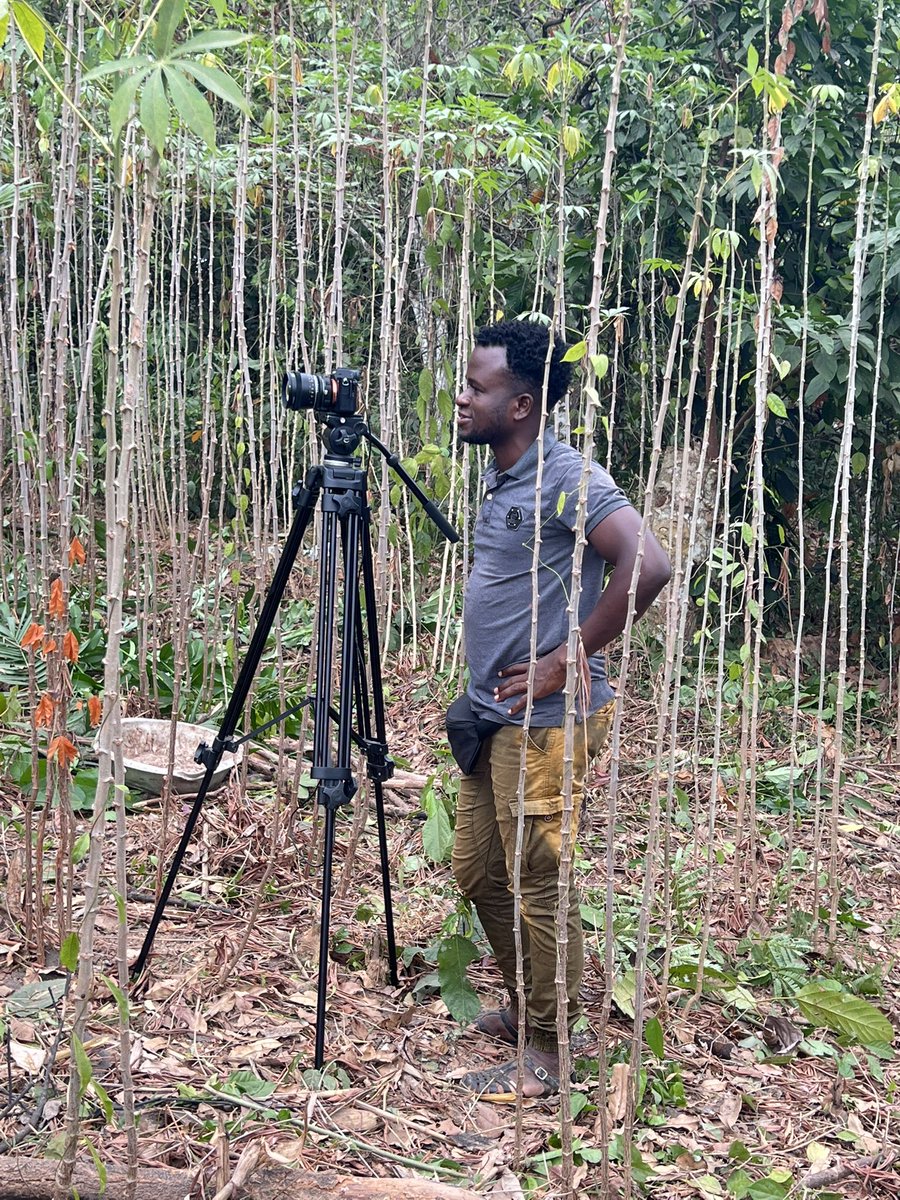 CoollBenito's tweet photo. j’ai posé ma caméra 🎥 au cœur du travail des femmes rurales pour un documentaire avec la Fondation ASHA. Ces maman-là, elles bossent dur dans les champs pour nourrir leurs familles et faire tourner le pays. Elles sont dedans depuis longtemps, 
Le film arrive bientôt, soyez prêts https://t.co/q7KDTEOqpY