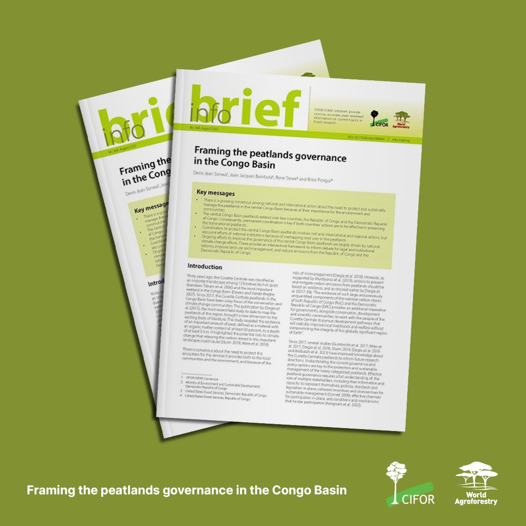Effective governance is essential for protecting the Congo Basin's peatlands, which are vital for the environment &amp; communities.

This #publication examines the challenges &amp; opportunities for sustainable peatland management in the region.

🔗: bit.ly/3uoTKKu