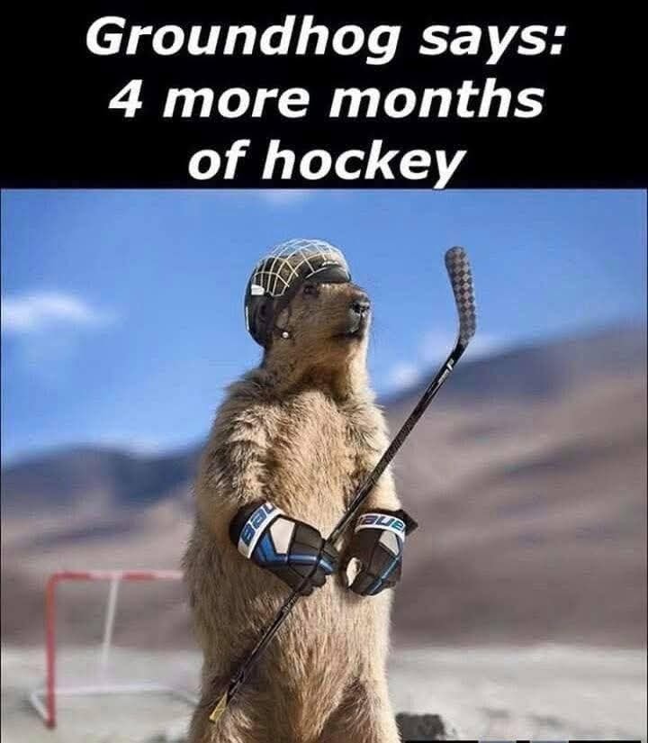 In the confusion of the split decision on the early spring, one decision was agreed on by all the groundhogs.