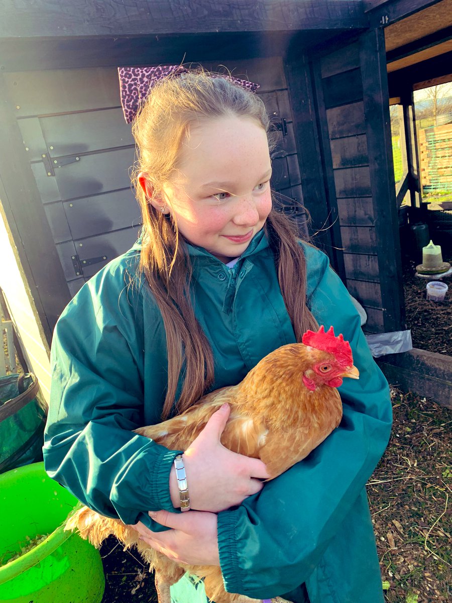 ysgsaltneyferry's tweet photo. Great visit from one of our link schools today for outdoor learning. Pupils confidently talked to staff about their school farm - confidence, resilience, self-esteem. ‘Crack’ing job 🙌 🐓 🥚 🥔 🌱 #ethicalcitizens #ambitiouscapable @brynclwyd @ysgolgellifor https://t.co/p0dSeBix7B