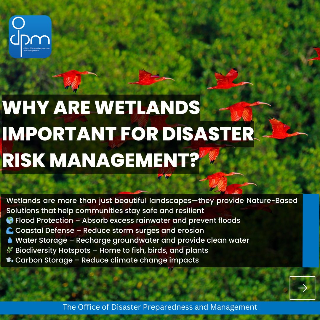 ODPM Trinidad and Tobago tweet media