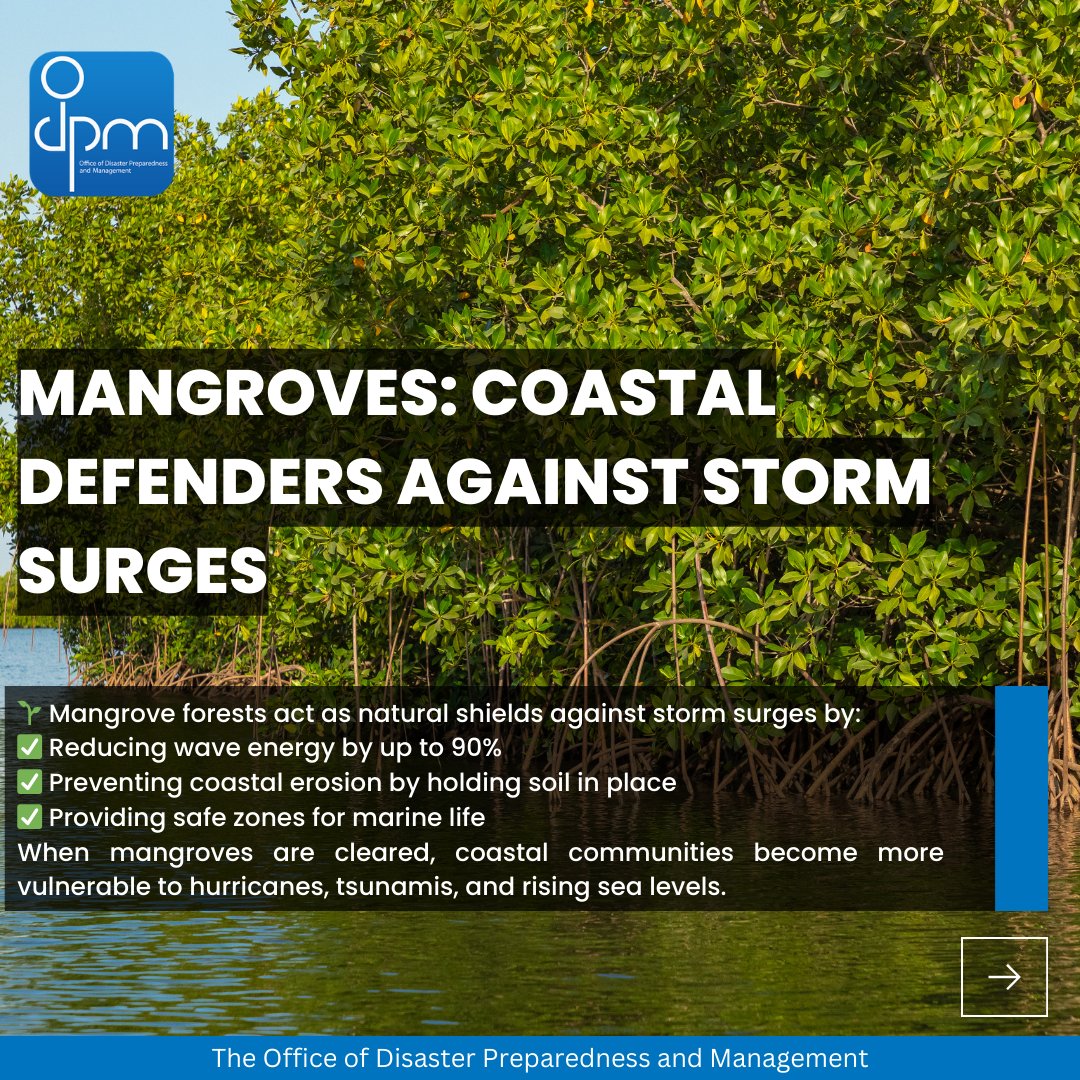 🌍 World Wetlands Day: Disaster Resilience Through Nature 🌊

Wetlands act as natural defenses, absorbing floods, reducing storm surges, preventing erosion, and mitigating droughts. Yet, deforestation, pollution, and urbanization threaten these vital ecosystems, increasing