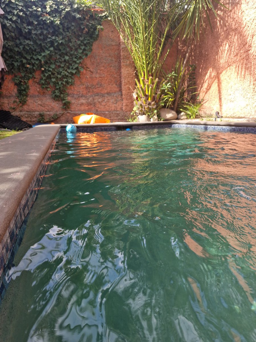 Con ganas de compañía, alguien?