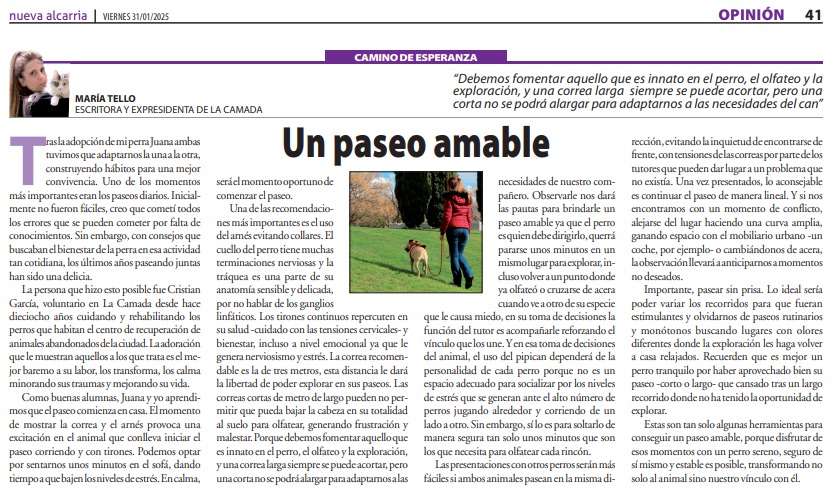 Mi artículo de opinión en <a href="/NuevaAlcarria/">Nueva Alcarria</a>.

nuevaalcarria.com/articulos/un-p…