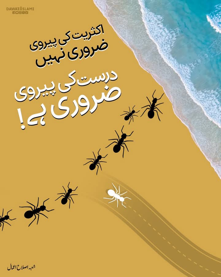 🌹🥀GOLDEN WORLD🥀🌹 

<a href="/AS_Attariya/">Princess Attariyah 👸</a> <a href="/IamImranAttari/">Maulana Imran Attari</a> <a href="/IlyasQadriZiaee/">Maulana Ilyas Qadri</a> <a href="/KZahra_92/">🌹Kaneeze Zahra🌹</a> <a href="/MADANIinfo/">Dawat-e-Islami</a> @Sag_eAttar2526