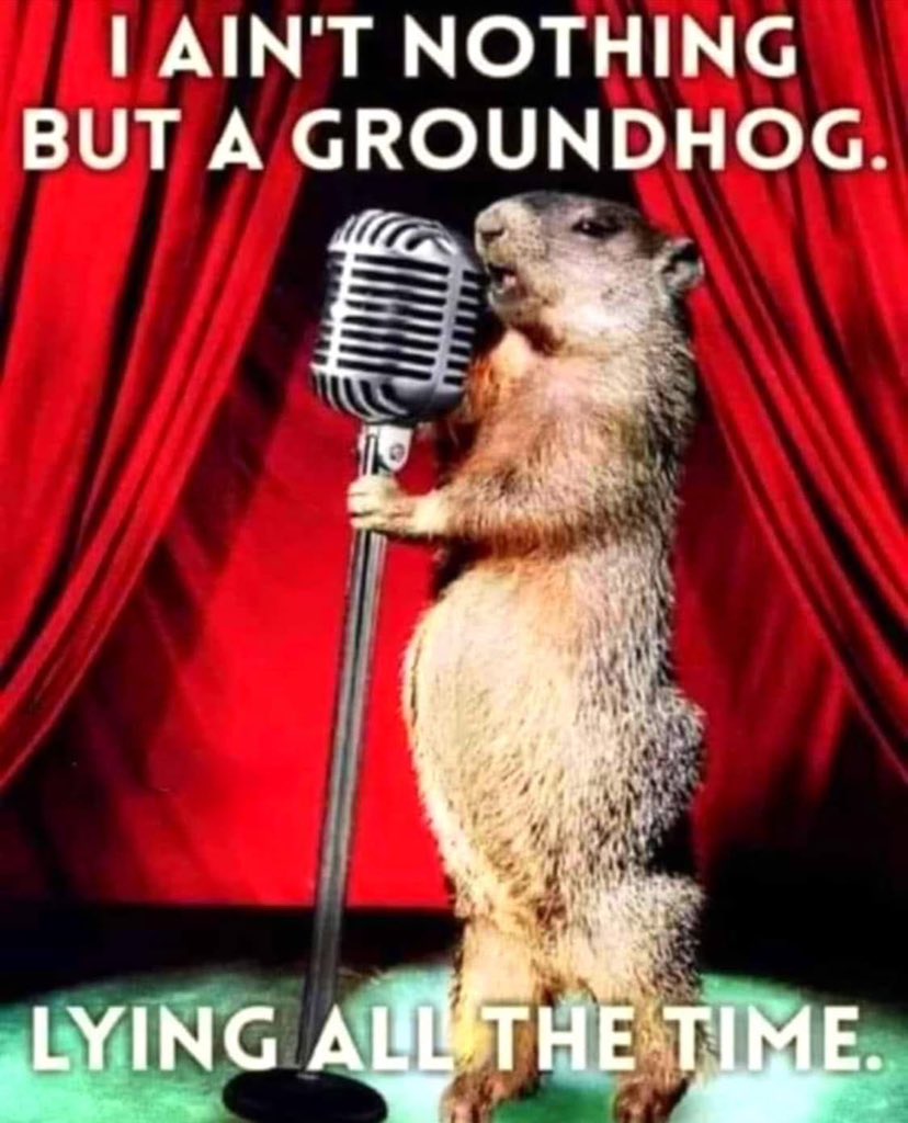 🤣🤣🤣