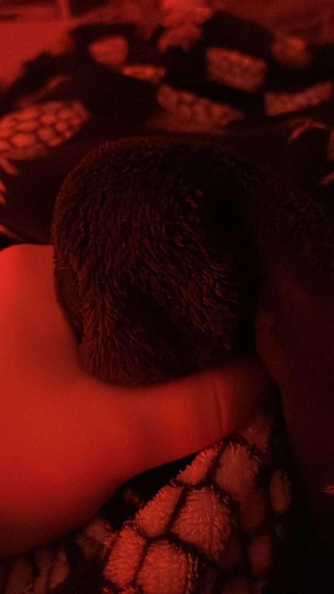 Boy1138150's tweet photo. Who wants to see my nutvid? I’m very young but I still cum like an adult ;)

Girls only! Any age https://t.co/wo8OytOhAZ