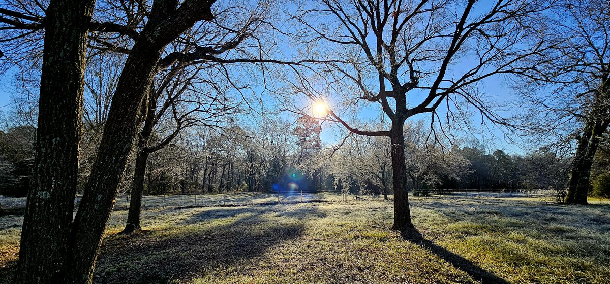 "The path of the righteous is like the first gleam of dawn, shining ever brighter till the full light of day." Proverbs 4:18 #righteousness #bethelight