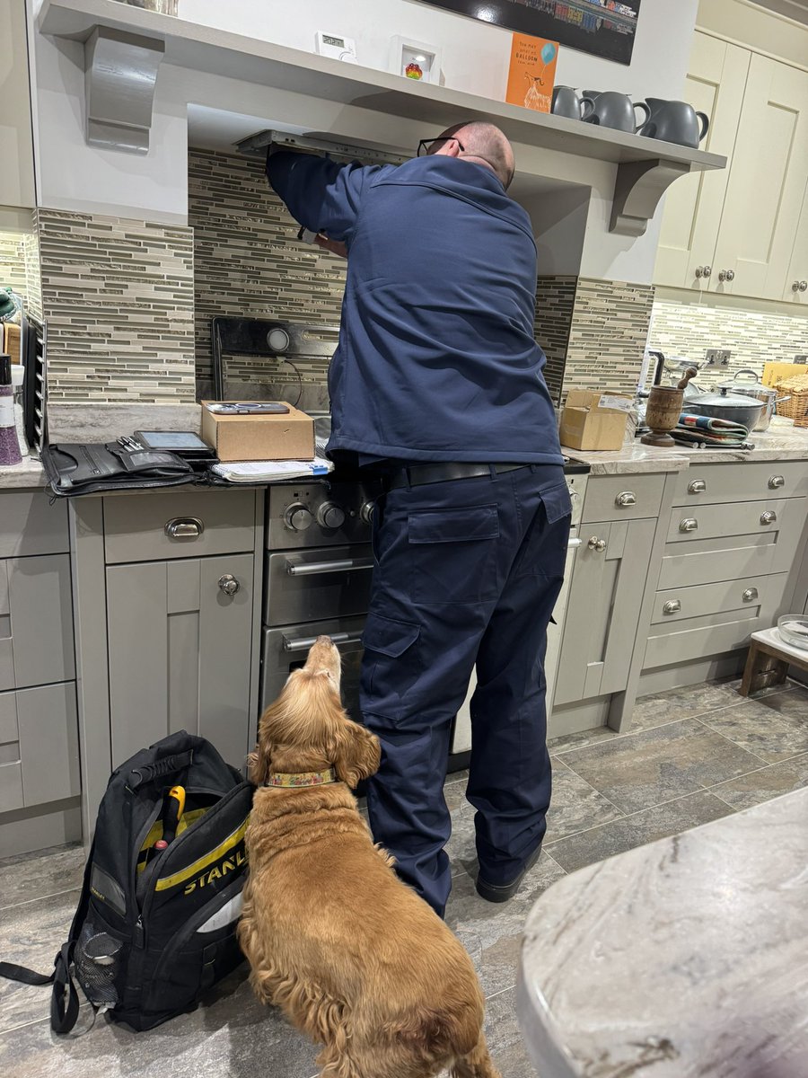 SpanielsSuper's tweet image. I’m working very hard to earn my keep!
I’m currently training as an #ElectricalEngineer shadowing the extractor repair man

I’m also working as a #Physiotherapist supporting dad with his rehab- I took him for a long walk this afternoon #JustTheTwoOfUs 
#MultiPurposeBat