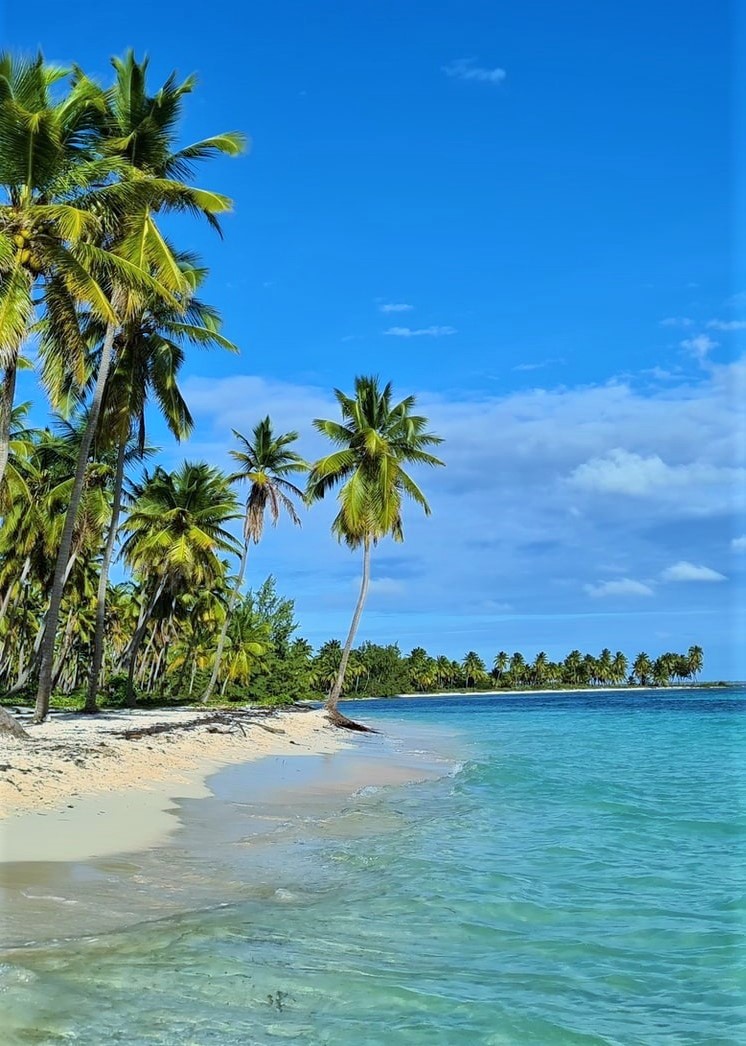 Saona Island-Dominican Republic.