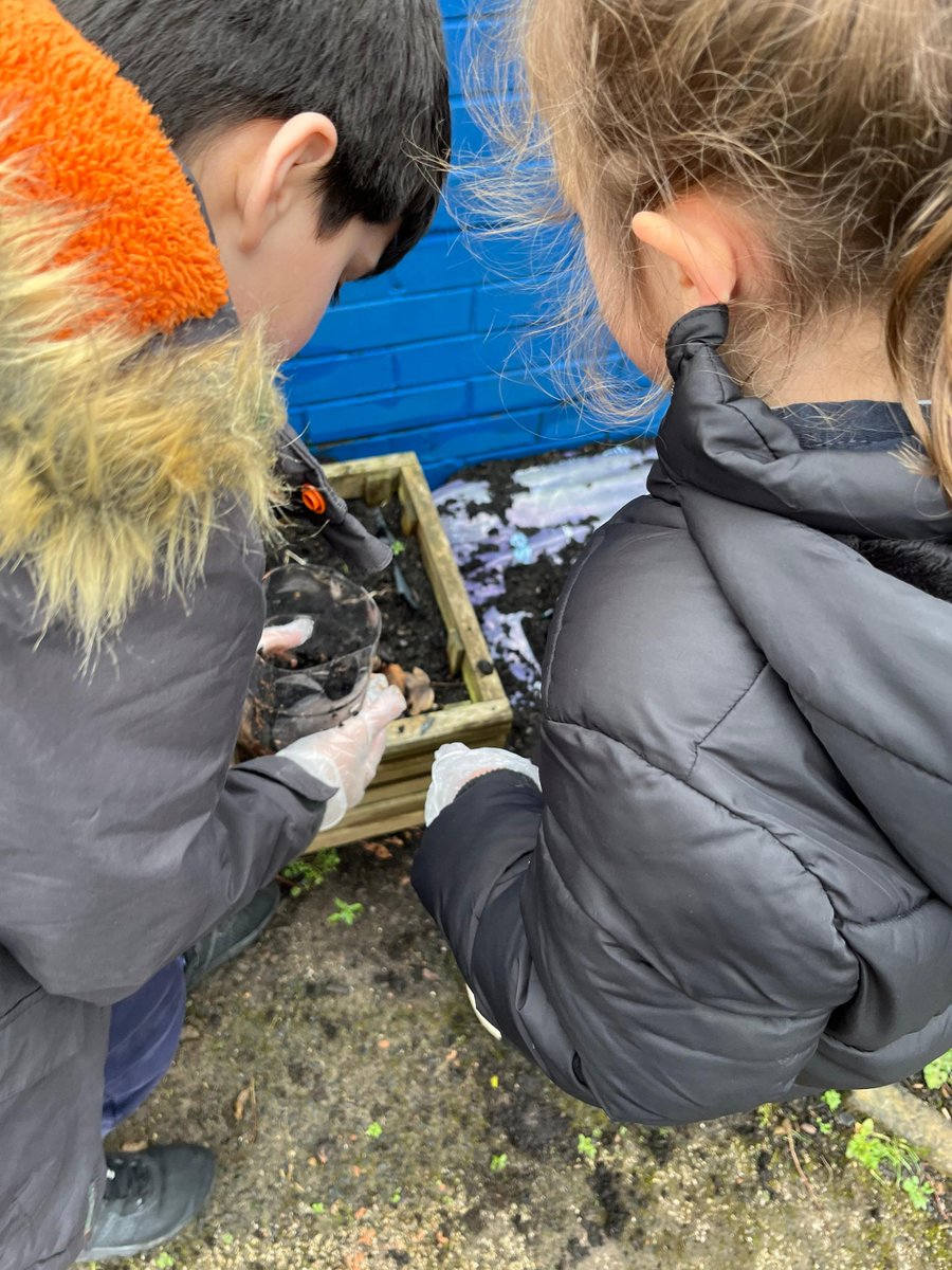 ManorWayPrimary's tweet photo. Our Eco-Warriors have been busy making wormeries and placing them around forest school to help to create our own compost. @WindAcadTrust #WATsustainabilitystrategy https://t.co/exmdROlJqy