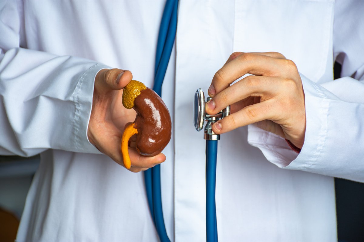 CFLKidneyS's tweet photo. Our nephrologists at Central Florida Kidney Specialists are experts in their field, providing personalized care and treatment plans for all kidney-related conditions. Contact us today to learn how we can help you live your healthiest life. https://t.co/Jj8Mghkf08