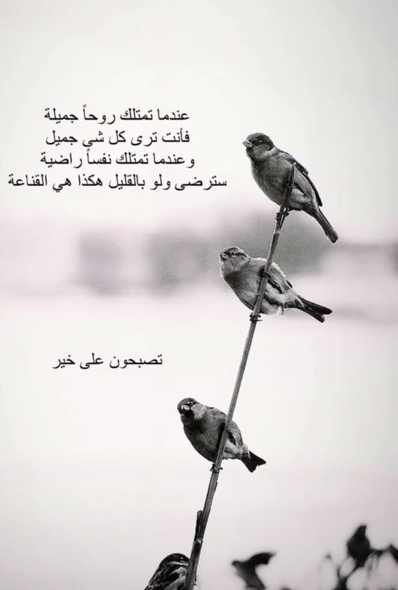بًدٍريِة الهاشلية (@b_alhashlia) on Twitter photo 