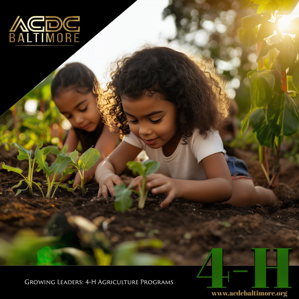 AcdcBaltimore's tweet photo. Growing Leaders: 4-H Agriculture Programs
https://t.co/O2N9Jqoq6k https://t.co/0ZrXLiVZIO