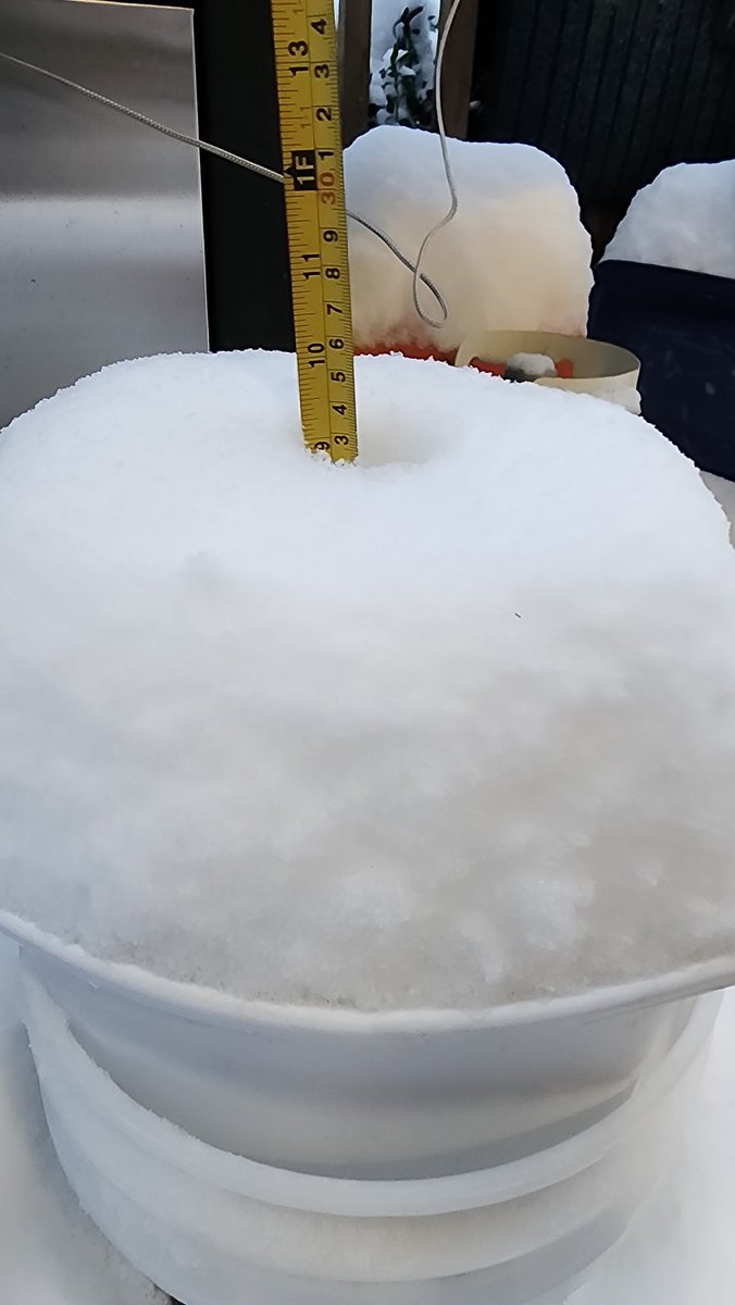 Matt Ion tweet media