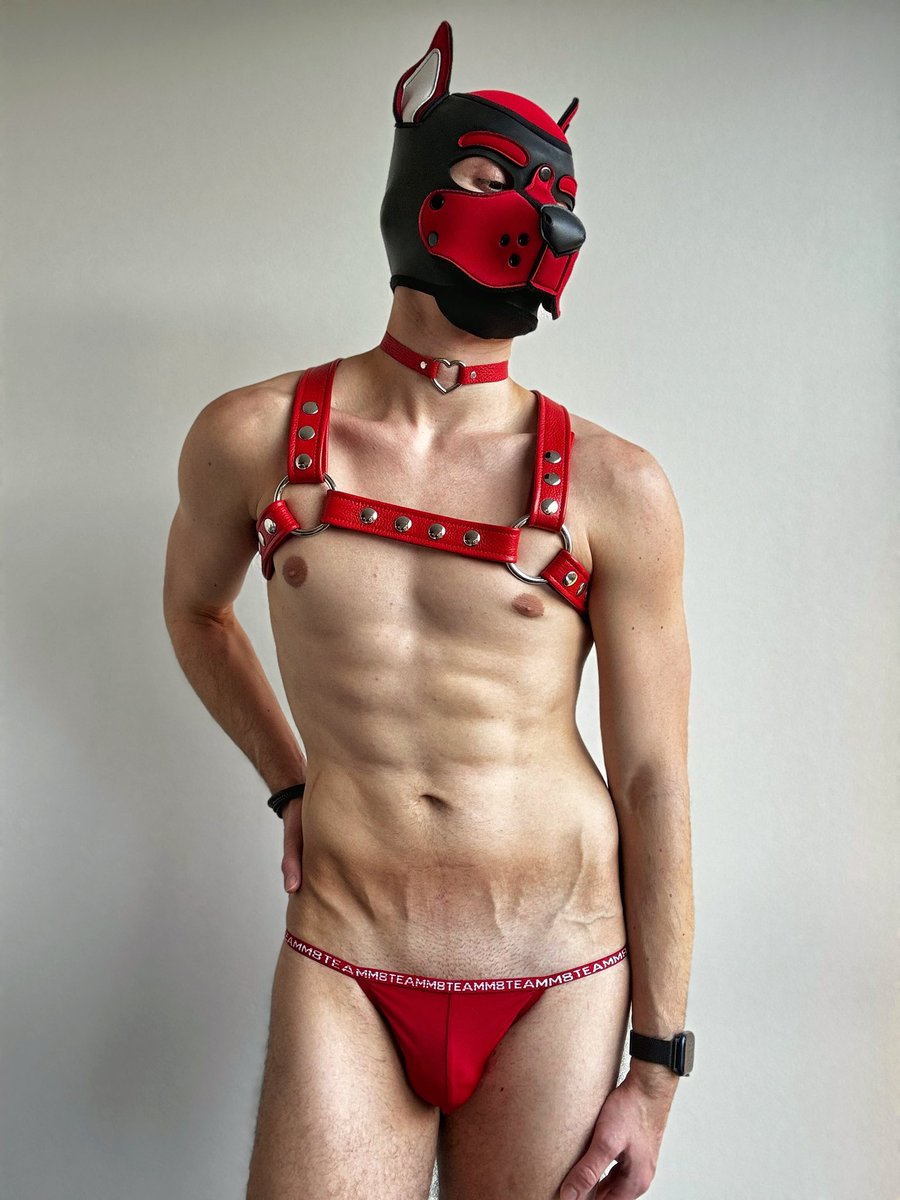 PupCazper's tweet photo. Red Doggo for your day ❤️❤️ https://t.co/QRbrMCiVct