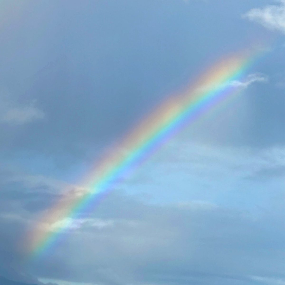 steven masur tweet media