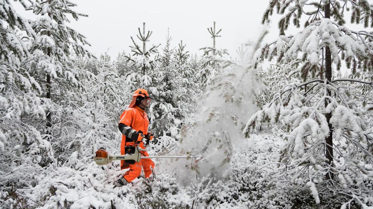 MT:n kysely: Tämän kokoisen metsätilan hoitotyöt omistaja pystyy itse tekemään maaseuduntulevaisuus.fi/metsa/49d87029…