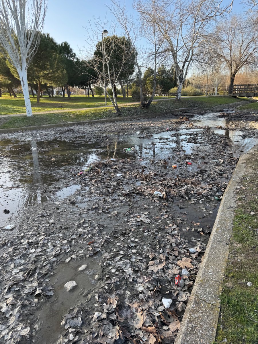 Pakonan87's tweet photo. @AytoLeganes @CarlosULEG podrías limpiar un poquito el parque lineal de arroyo culebro https://t.co/iBSDyo2fCp