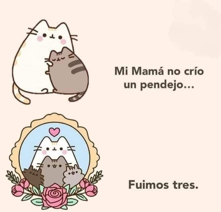 Memes Universidad Nacional tweet media