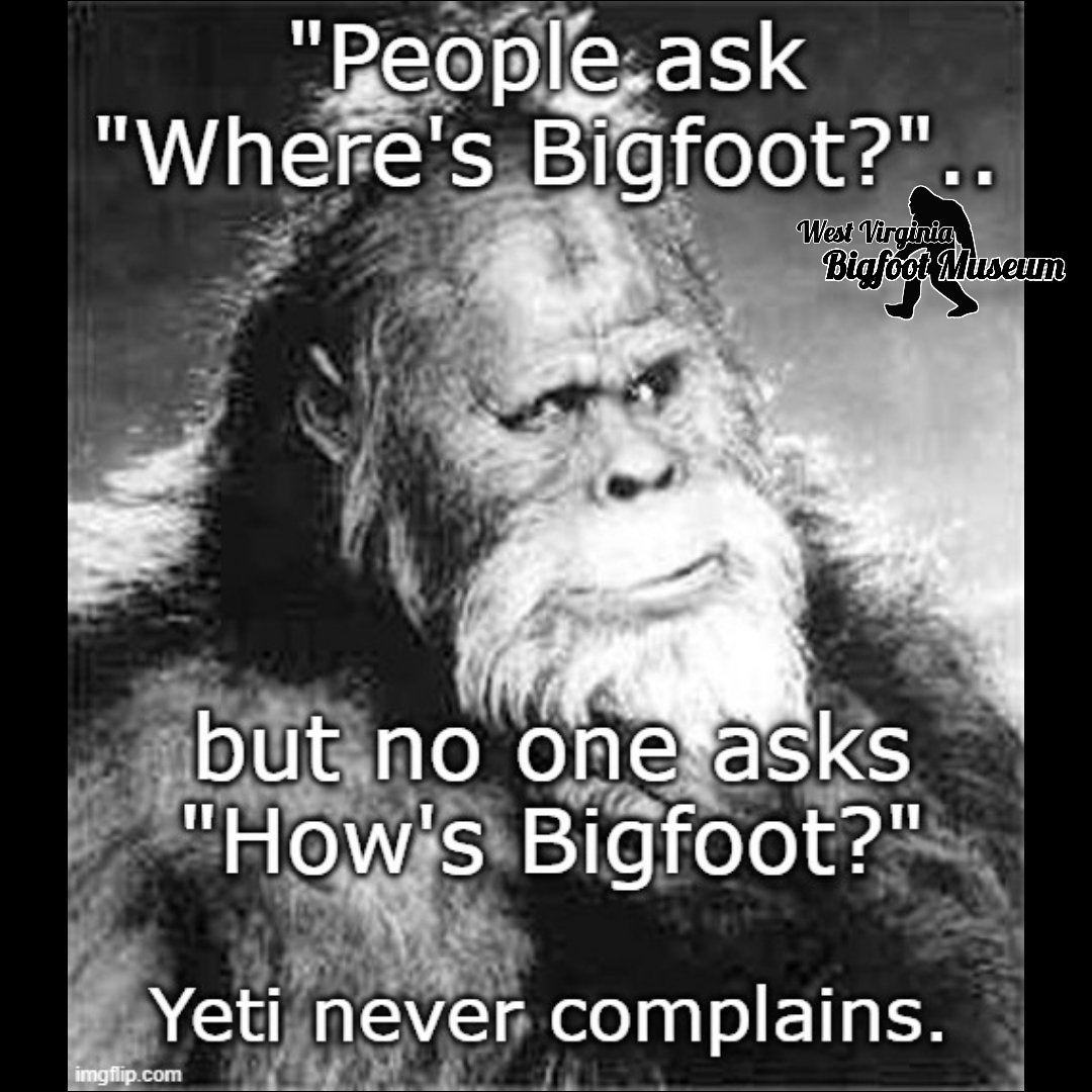 The West Virginia Bigfoot Museum tweet media