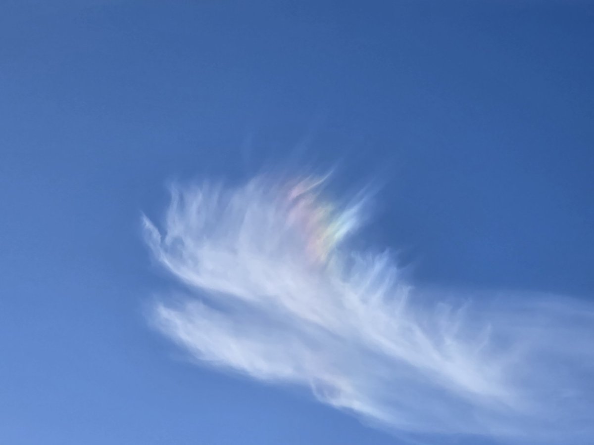 astronomy_dan's tweet photo. Captured A Very Rare Event A few days ago this is called a Circumhorizontal Arc (Fire Rainbow 🌈) over Wolverhampton City Centre on January 30th 2025 with some epic Wispy Cirrus Clouds. @ThePhotoHour #firerainbow #circumhorizontalarc #cirrusclouds https://t.co/l09Wf1exJF