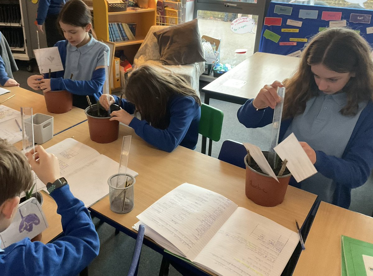 arwprimary tweet media