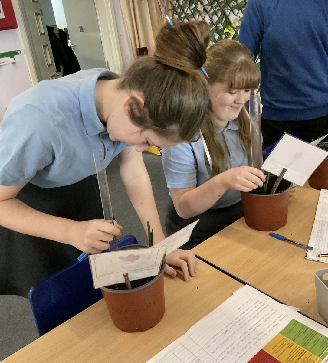 arwprimary tweet media